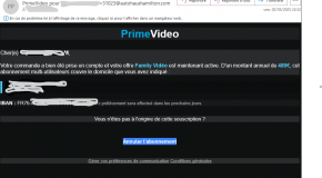 Arnaque à l’abonnement PRIME VIDEO : Redoutable !